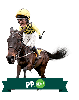 Horse Racing Betting Horse Racing Odds Paddy Power