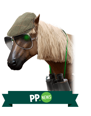 Horse Racing Betting & Horse Racing Odds » Paddy Power™